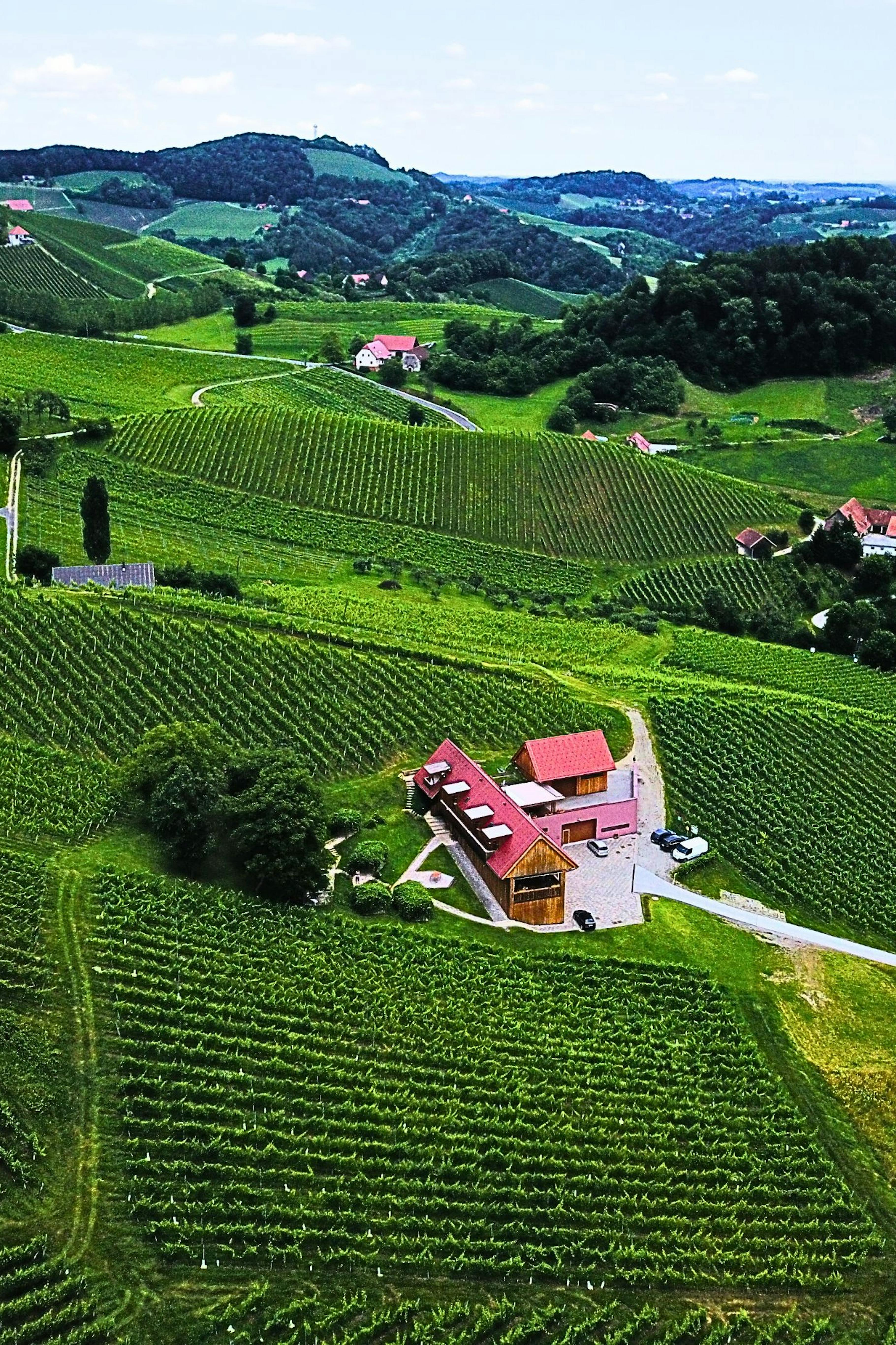 Valdhuber Wine